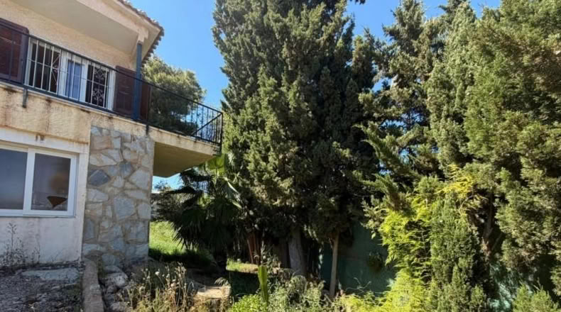 Аликанте - Torrevieja - 830m2