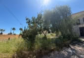 Chalet independiente con terreno en venta en la España, Torrevieja, ref: TR345393 foto