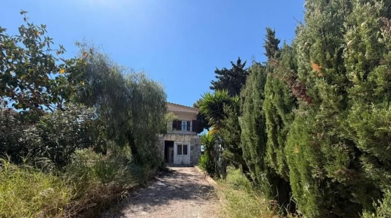 Аликанте - Torrevieja - 830m2