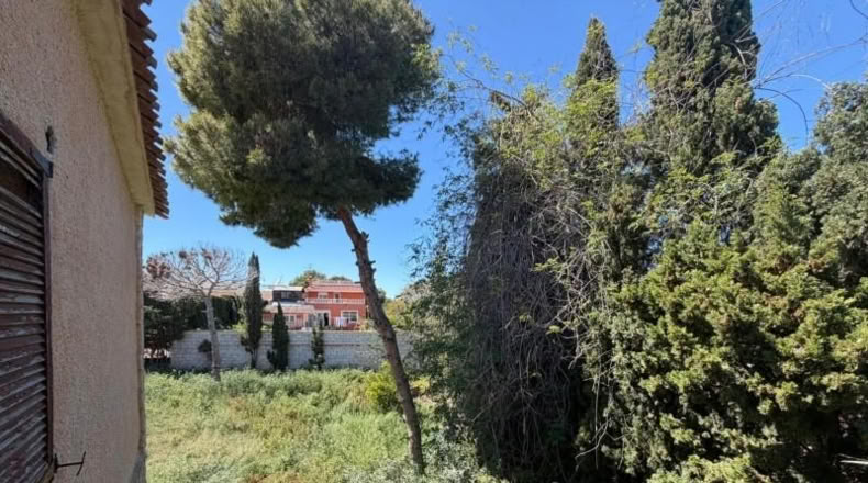 Аликанте - Torrevieja - 830m2