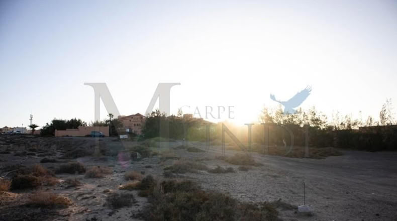 Las Palmas - Пахара - 3540m2