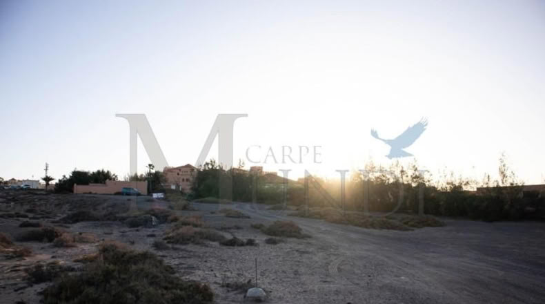 Las Palmas - Пахара - 3540m2
