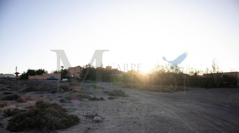 Las Palmas - Пахара - 3540m2