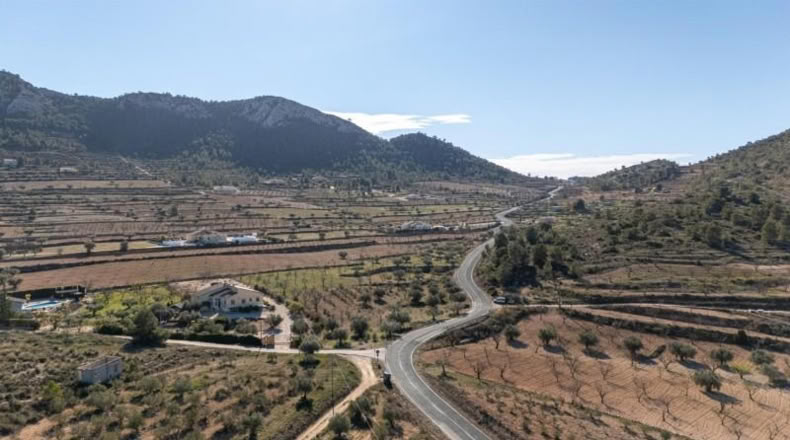 Murcia - Jumilla - 5590m2