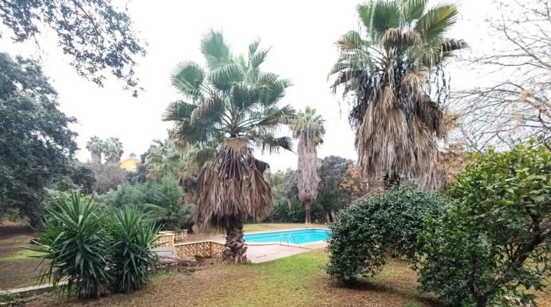 Córdoba - Córdoba - 4500m2