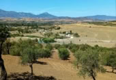 Casa de camp amb terreny en venda a la España, Coín, ref.: TR352599 foto