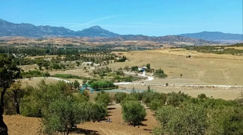 Малага - Coín - 22349m2