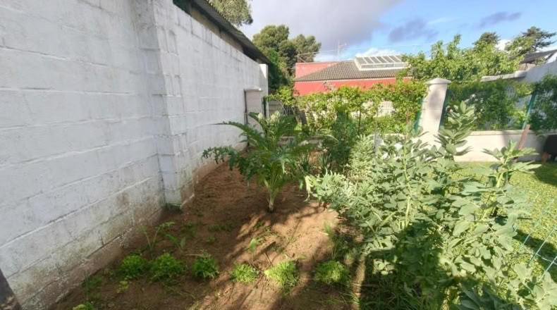 Cádiz - Chiclana de la Frontera - 2600m2