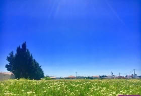 Barbate 5500&nbsp;m² 
