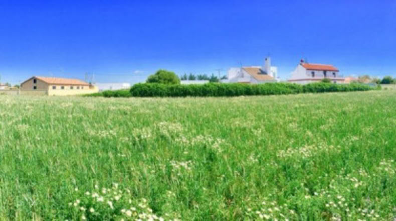 Cádiz - Barbate - 5500m2