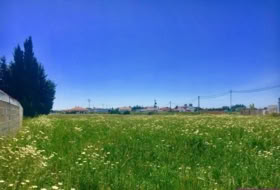 Barbate 5500&nbsp;m² 