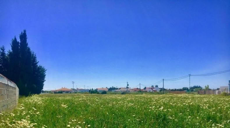 Cádiz - Barbate - 5500m2
