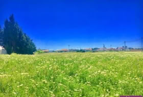 Barbate 5500&nbsp;m² 