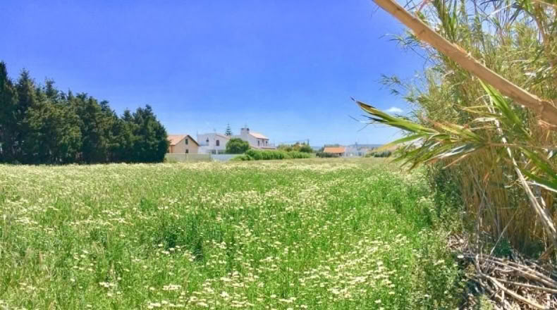 Cádiz - Barbate - 5500m2