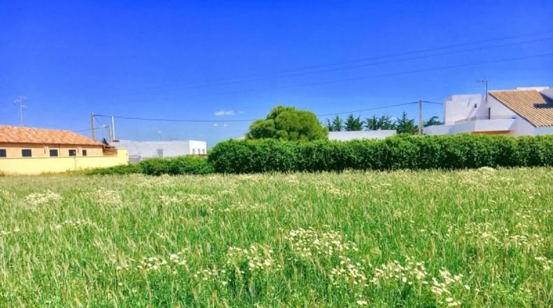 Cádiz - Barbate - 5500m2