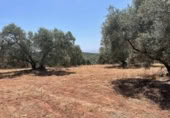 Terreno no urbanizable en venta en la España, Mollina, ref: TR320725 foto