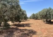 Terreno no urbanizable en venta en la España, Mollina, ref: TR320725 foto