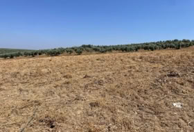 Mollina 142500&nbsp;m² 