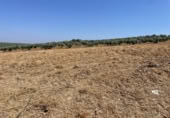 Terreno no urbanizable en venta en la España, Mollina, ref: TR320725 foto
