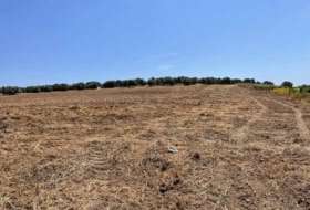Mollina 142500&nbsp;m² 