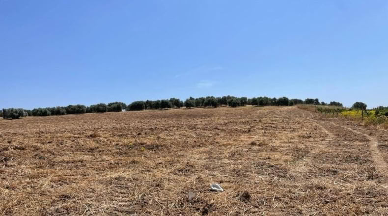 Malaga - Mollina - 142500m2