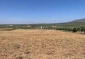 Terreno no urbanizable en venta en la España, Mollina, ref: TR320725 foto
