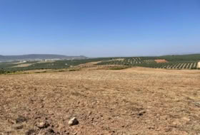 Mollina 142500&nbsp;m² 