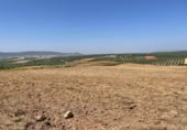 Terreno no urbanizable en venta en la España, Mollina, ref: TR320725 foto