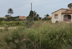 els Poblets 1475&nbsp;m²