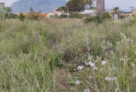 els Poblets 1475&nbsp;m²