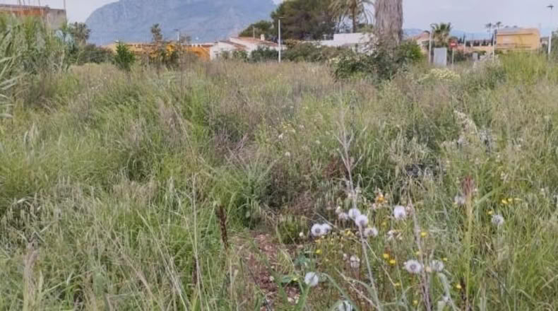 Alicante - els Poblets - 1475m2
