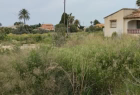 els Poblets 1475&nbsp;m²