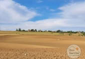 Land suitable for development for sale on España, Simancas, ref: TR228584 photo
