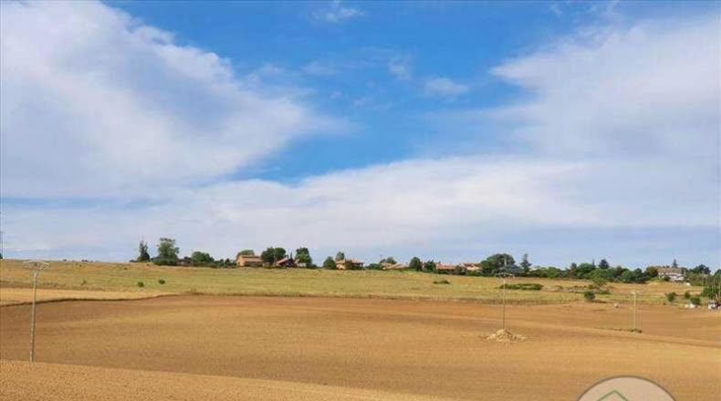 Valladolid - Simancas - 300m2