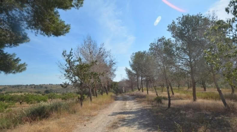Аликанте - Orihuela - 407000m2