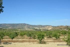Orihuela 407000&nbsp;m²