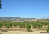 Non-developable land for sale on España, Orihuela, ref: TR280561 photo