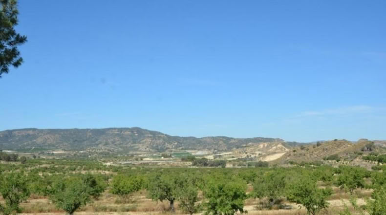 Аликанте - Orihuela - 407000m2