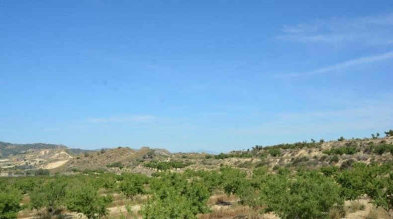 Аликанте - Orihuela - 407000m2