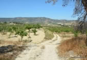 Non-developable land for sale on España, Orihuela, ref: TR280561 photo