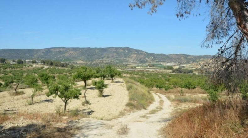 Аликанте - Orihuela - 407000m2