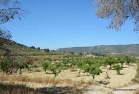 Orihuela 407000&nbsp;m²