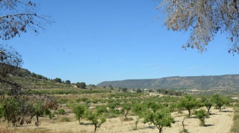 Аликанте - Orihuela - 407000m2