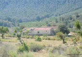 Non-developable land for sale on España, Orihuela, ref: TR280561 photo