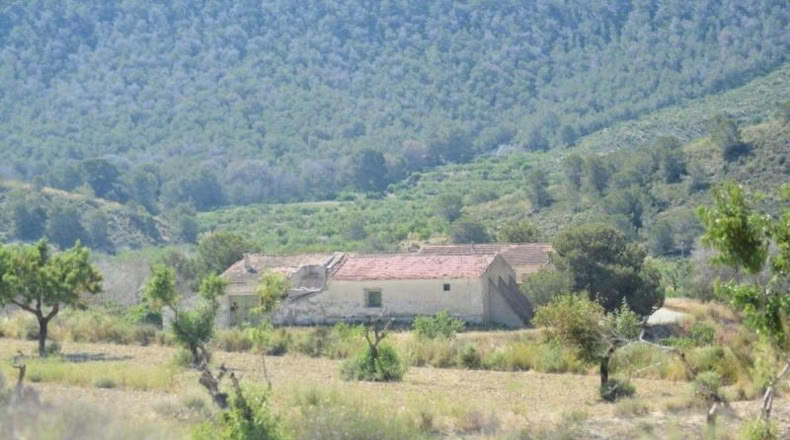Аликанте - Orihuela - 407000m2