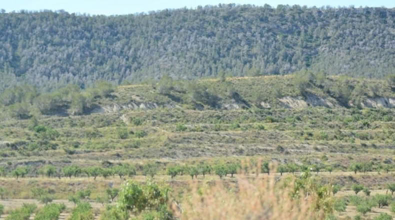 Аликанте - Orihuela - 407000m2