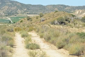 Orihuela 407000&nbsp;m²