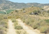 Non-developable land for sale on España, Orihuela, ref: TR280561 photo
