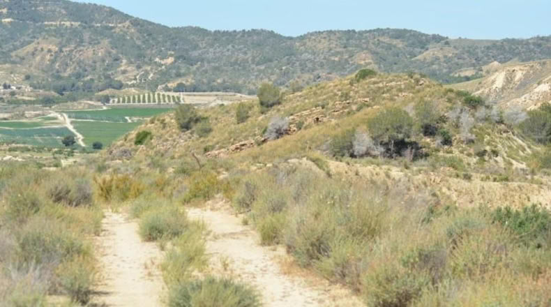Аликанте - Orihuela - 407000m2