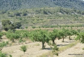 Orihuela 407000&nbsp;m²